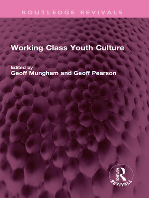 cover image of Working Class Youth Culture